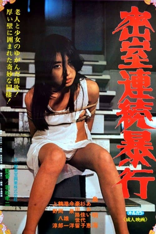 密室連続暴行 poster