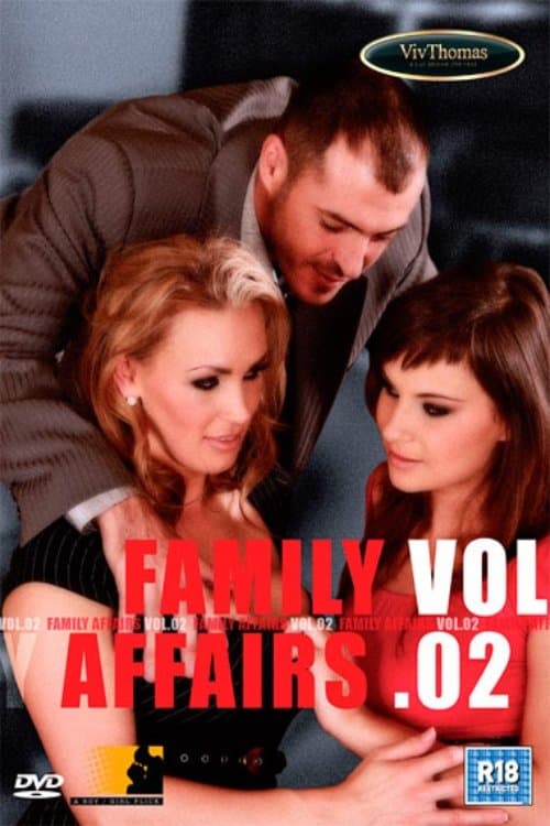 Family Affairs 2 poster
