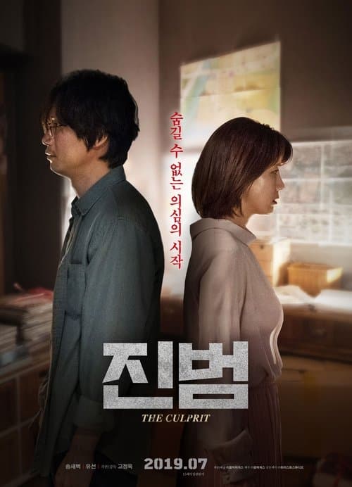 진범 poster