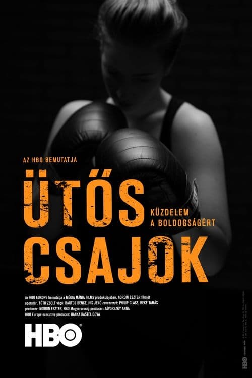 Ütős csajok poster