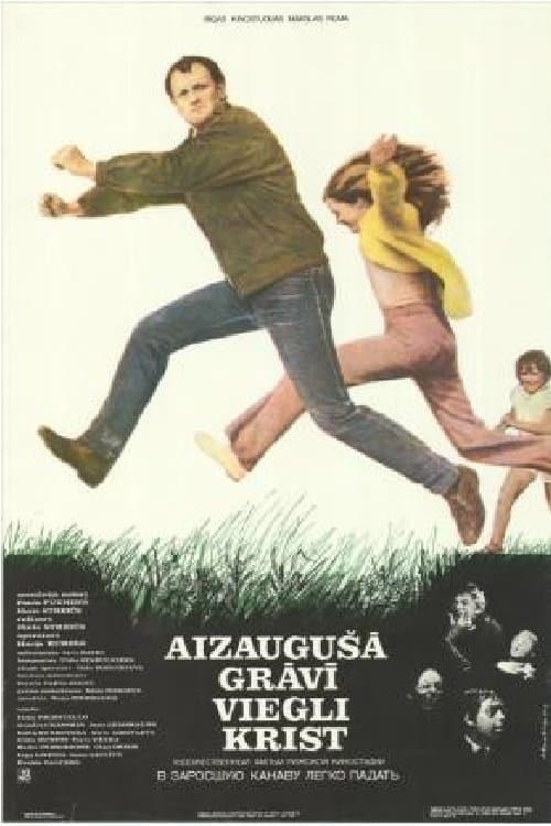 Aizaugušā grāvī viegli krist poster