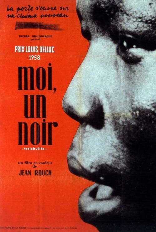 Moi, un noir poster