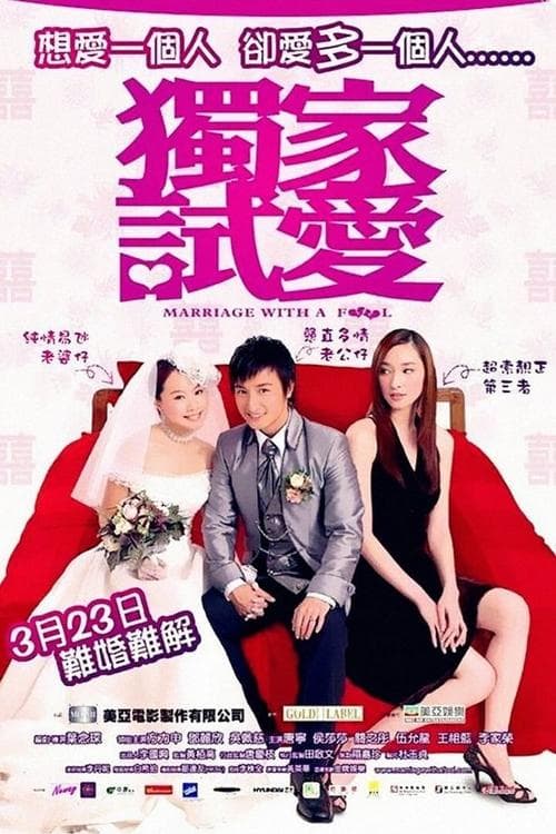獨家試愛 poster