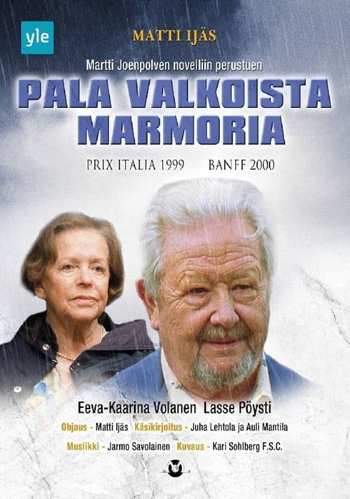 Pala valkoista marmoria poster