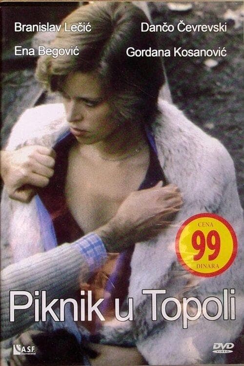 Piknik u Topoli poster