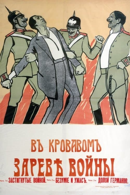 В кровавом зареве войны poster