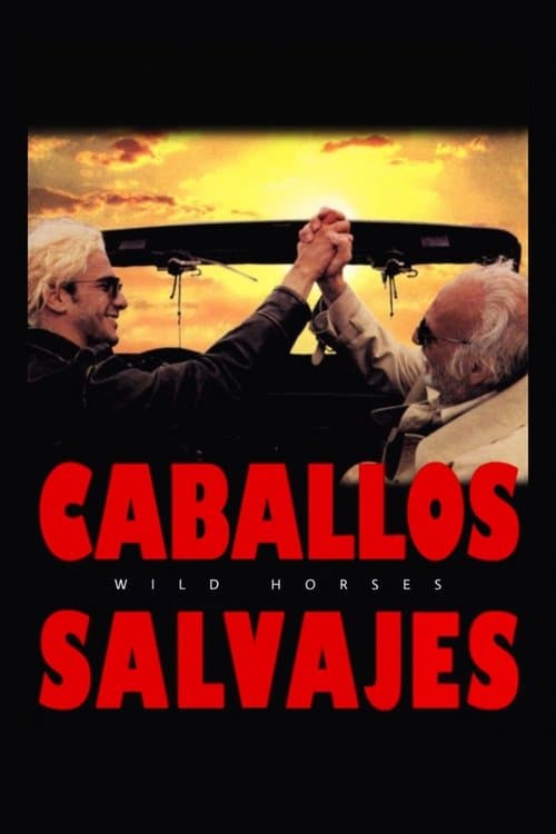 Caballos salvajes poster