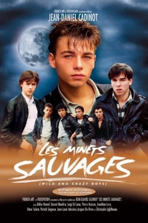 Les Minets Sauvages poster