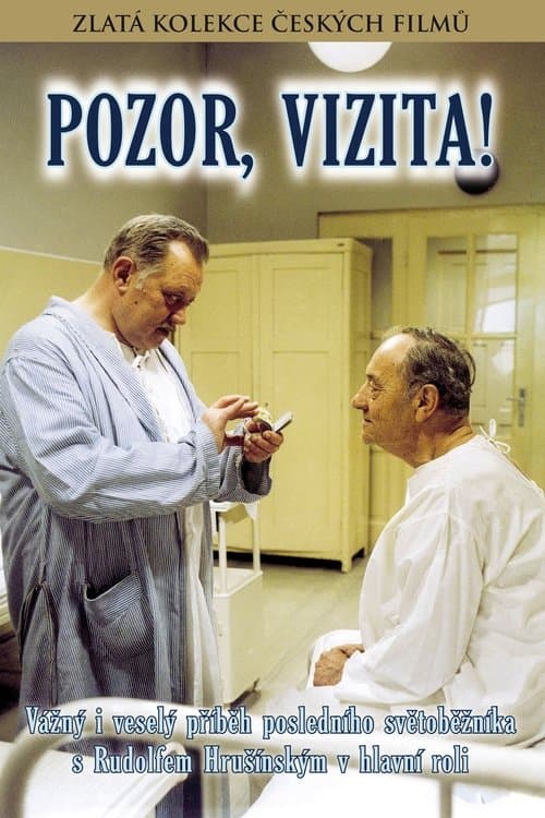 Achtung, Visite! poster