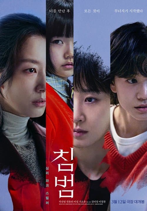 침범 poster