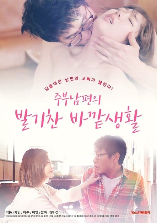 주부남편의 발기찬 바깥생활 poster
