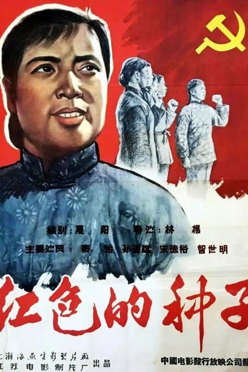 红色的种子 poster