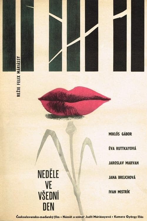 Pirosbetűs hétköznapok poster
