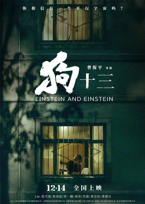 Einstein and Einstein poster
