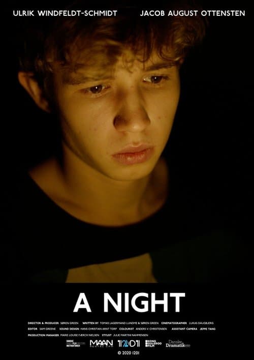 En nat poster