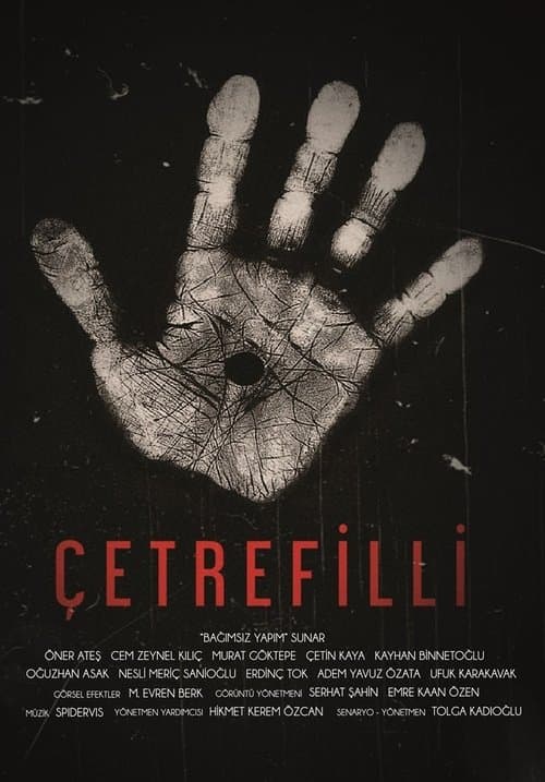 Çetrefilli poster