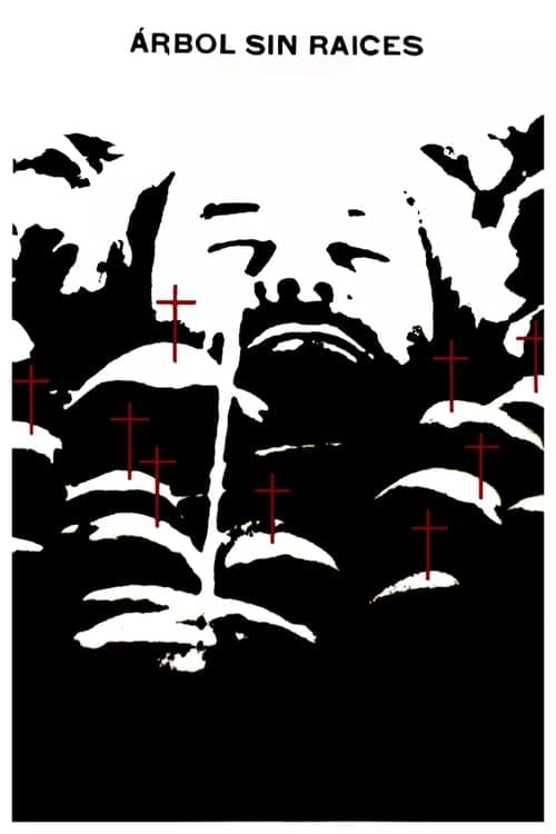 Дърво без корен poster