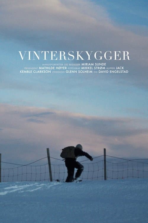 Vinterskygger poster