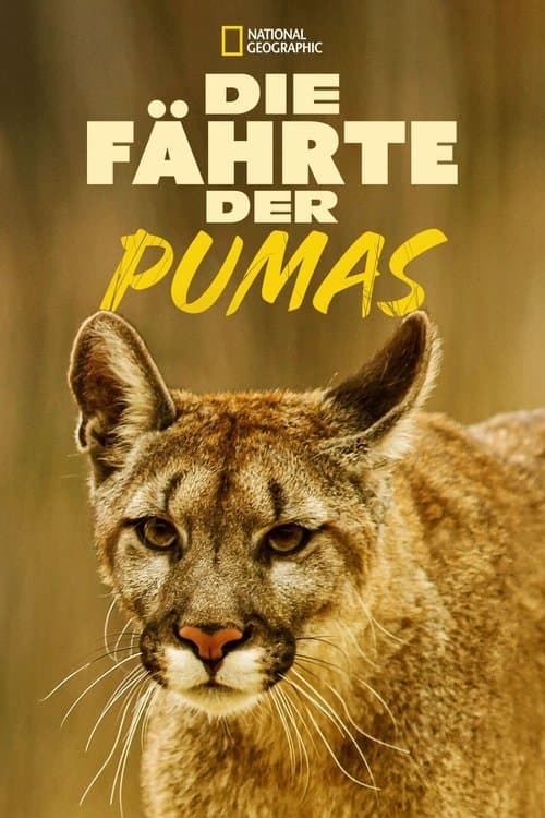 Die Fährte der Pumas poster