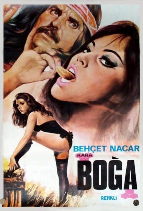 Kara Boğa poster
