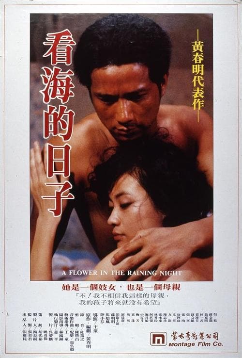 看海的日子 poster