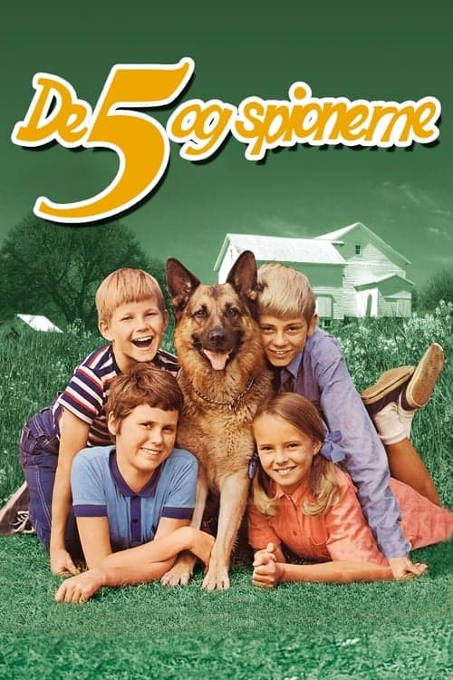 Fünf Freunde und die Spione poster