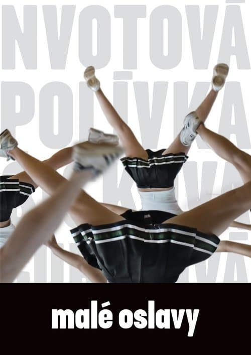 Malé oslavy poster