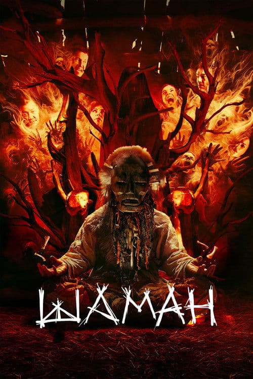 Шаман poster