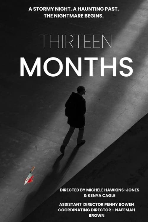 Thirteen Months poster