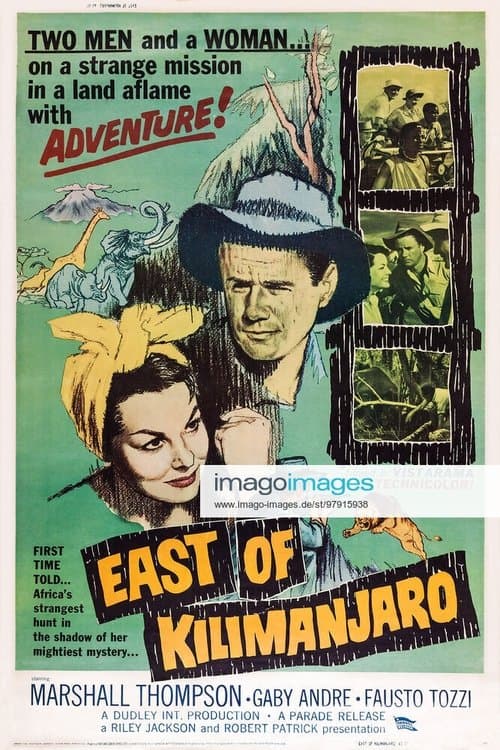 La grande caccia poster