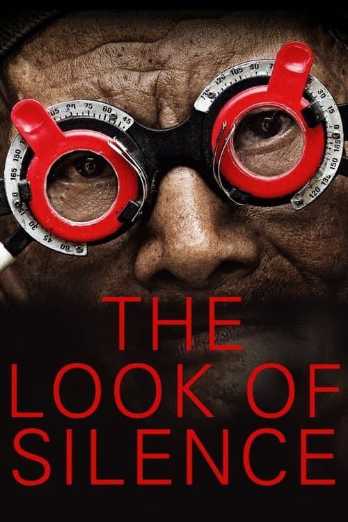 The Look Of Silence - Im Angesicht der Stille poster