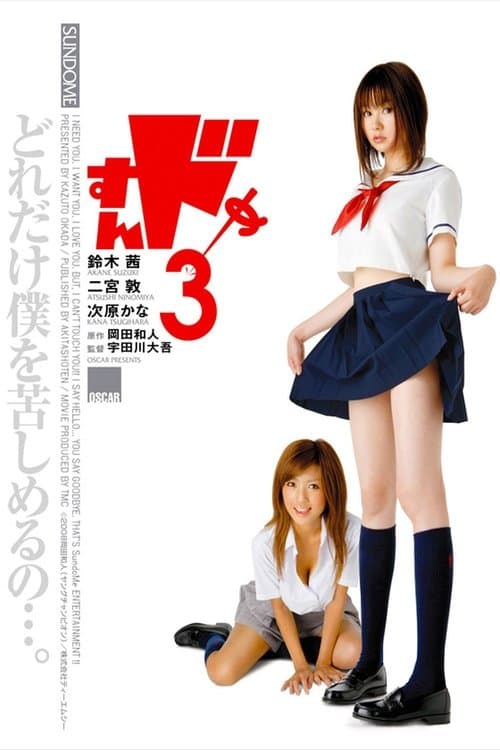 すんドめ3 poster
