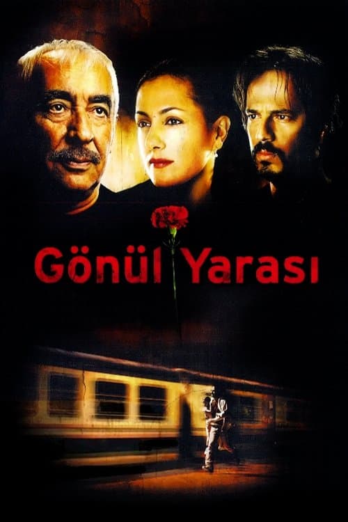Gönül Yarası poster