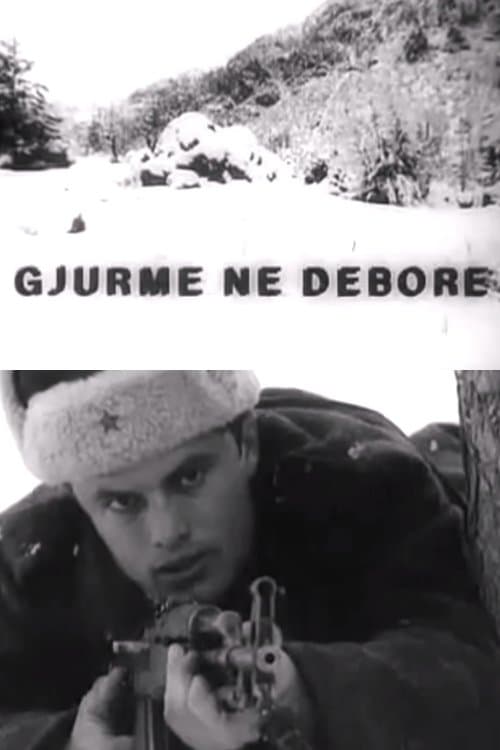 Gjurmë në dëborë poster