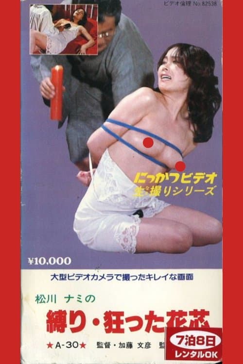松川ナミの　縛り　狂った花芯 poster
