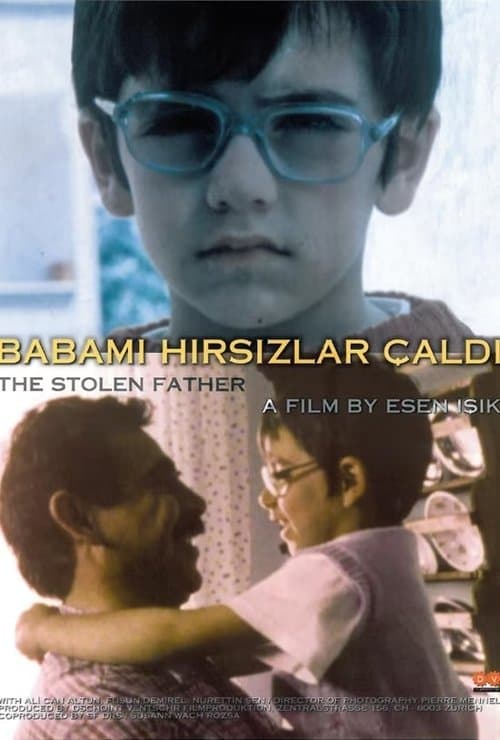 Babamı Hırsızlar Çaldı poster