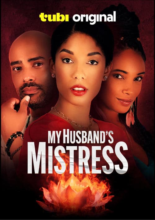 My Husband's Mistress poster