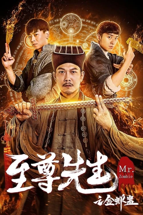 Mr. Zombie 2 poster