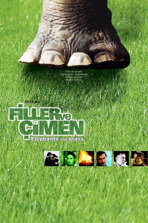 Elefanten und Gras poster