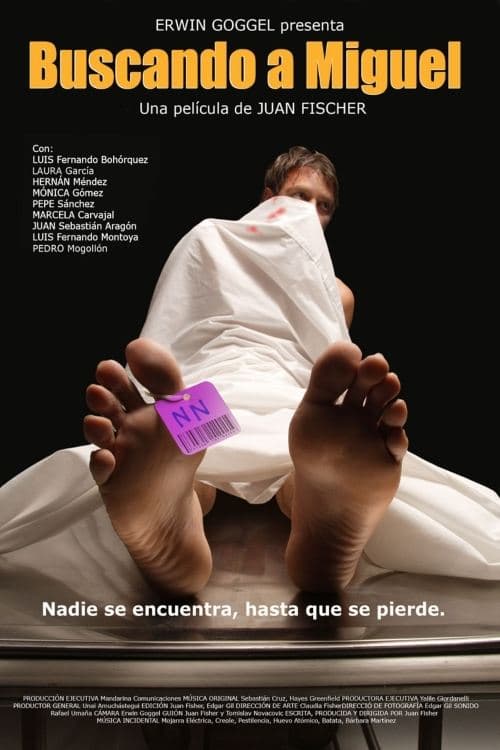 Buscando a Miguel poster