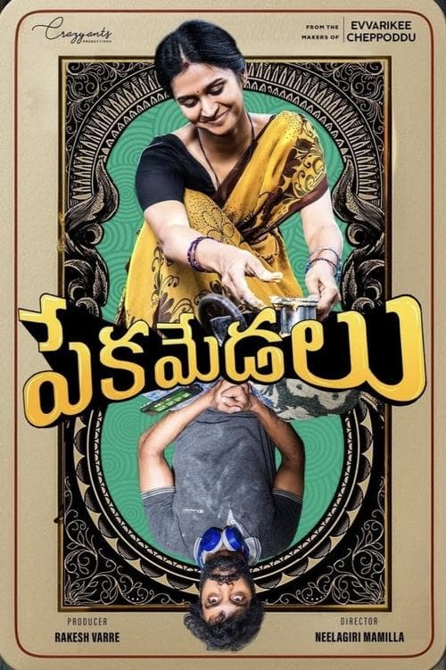 పేకమేడలు poster