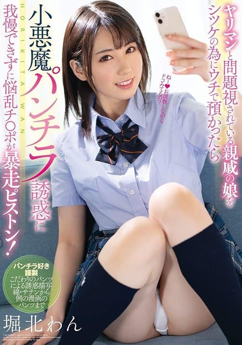 ヤリマンと問題視されている親戚の娘をシツケの為にウチで預かったら 小悪魔パンチラ誘惑に我慢できずに悩乱チ●ポが暴走ピストン！ 堀北わん poster