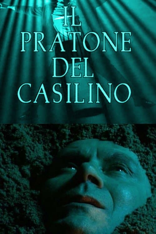 Il pratone del Casilino poster