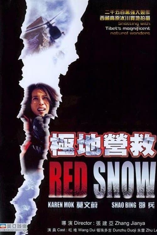 极地营救 poster