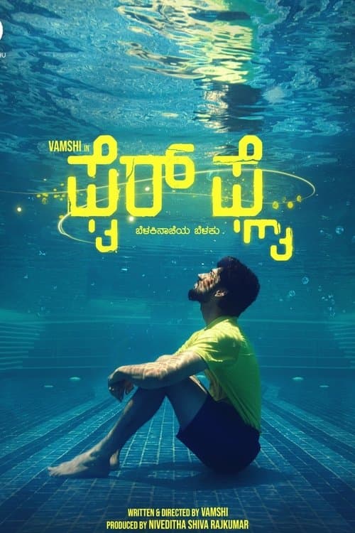 ಫೈರ್ ಫ್ಲೈ poster