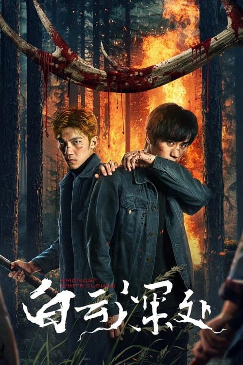 白云深处 poster