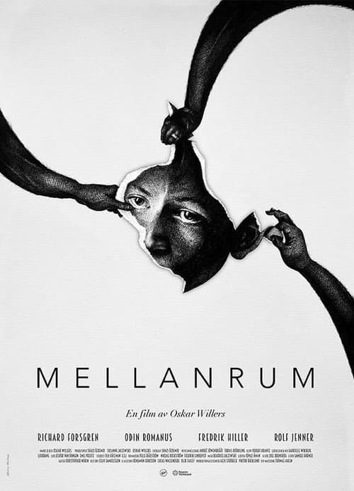 Mellanrum poster