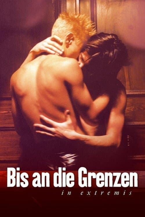 Bis an die Grenzen poster