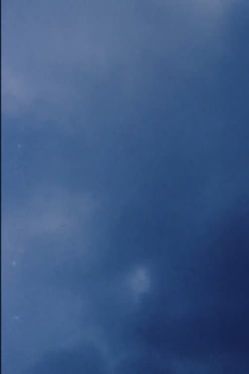 Coda II poster