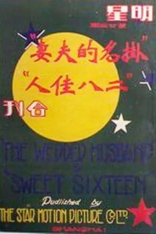 掛名的夫妻 poster